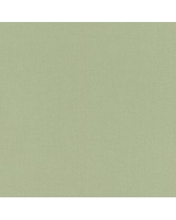 423938 Обои Rasch (Allegretto) (1*12) 10,05x0,53 винил на флизелине