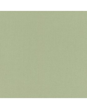 423938 Обои Rasch (Allegretto) (1*12) 10,05x0,53 винил на флизелине