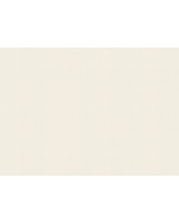 424010 Обои Rasch (Allegretto) (1*12) 10,05x0,53 винил на флизелине-foto2