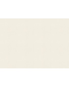 424010 Обои Rasch (Allegretto) (1*12) 10,05x0,53 винил на флизелине-foto2