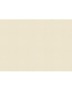 424058 Обои Rasch (Allegretto) (1*12) 10,05x0,53 винил на флизелине-foto2