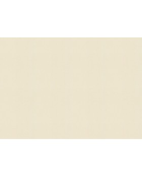 424058 Обои Rasch (Allegretto) (1*12) 10,05x0,53 винил на флизелине-foto2