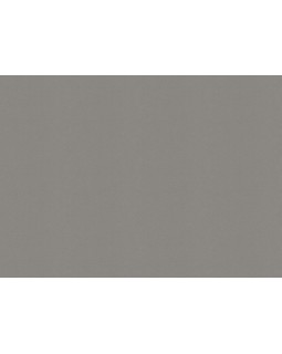 448627 Обои Rasch (Allegretto) (1*12) 10,05x0,53 винил на флизелине-foto2