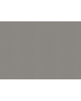 448627 Обои Rasch (Allegretto) (1*12) 10,05x0,53 винил на флизелине-foto2