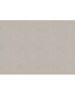 479409 Обои Rasch (Allegretto) (1*12) 10,05x0,53 винил на флизелине-foto2