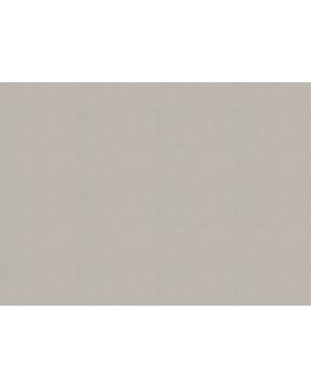 479409 Обои Rasch (Allegretto) (1*12) 10,05x0,53 винил на флизелине-foto2