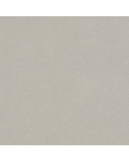 479409 Обои Rasch (Allegretto) (1*12) 10,05x0,53 винил на флизелине