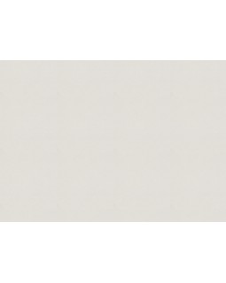 479423 Обои Rasch (Allegretto) (1*12) 10,05x0,53 винил на флизелине-foto2