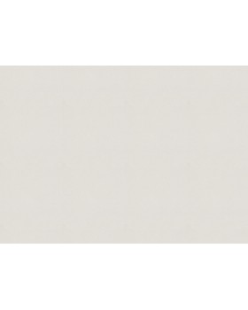 479423 Обои Rasch (Allegretto) (1*12) 10,05x0,53 винил на флизелине-foto2