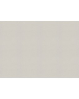 479430 Обои Rasch (Allegretto) (1*12) 10,05x0,53 винил на флизелине-foto2