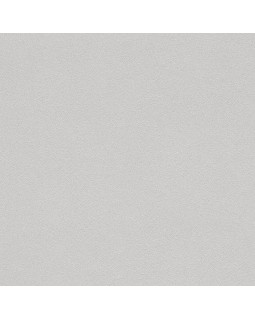479447 Обои Rasch (Allegretto) (1*12) 10,05x0,53 винил на флизелине