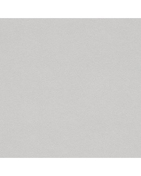 479447 Обои Rasch (Allegretto) (1*12) 10,05x0,53 винил на флизелине