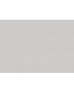 479447 Обои Rasch (Allegretto) (1*12) 10,05x0,53 винил на флизелине-foto2