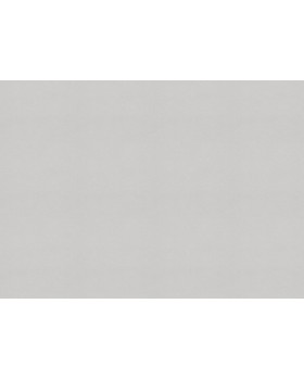 479447 Обои Rasch (Allegretto) (1*12) 10,05x0,53 винил на флизелине-foto2