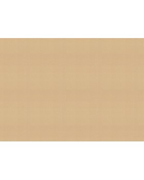 531367 Обои Rasch (Allegretto) (1*12) 10,05x0,53 винил на флизелине-foto2