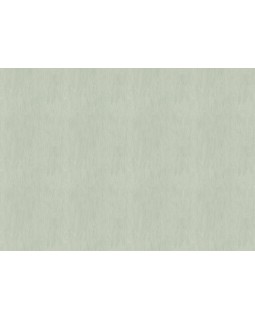 540840 Обои Rasch (Allegretto) (1*12) 10,05x0,53 винил на флизелине-foto2