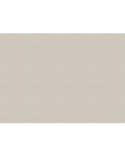 542479 Обои Rasch (Allegretto) (1*12) 10,05x0,53 винил на флизелине-foto2