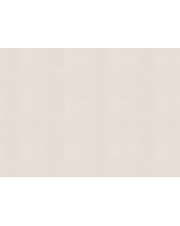 687507 Обои Rasch (Allegretto) (1*12) 10,05x0,53 винил на флизелине-foto2