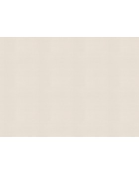 687507 Обои Rasch (Allegretto) (1*12) 10,05x0,53 винил на флизелине-foto2