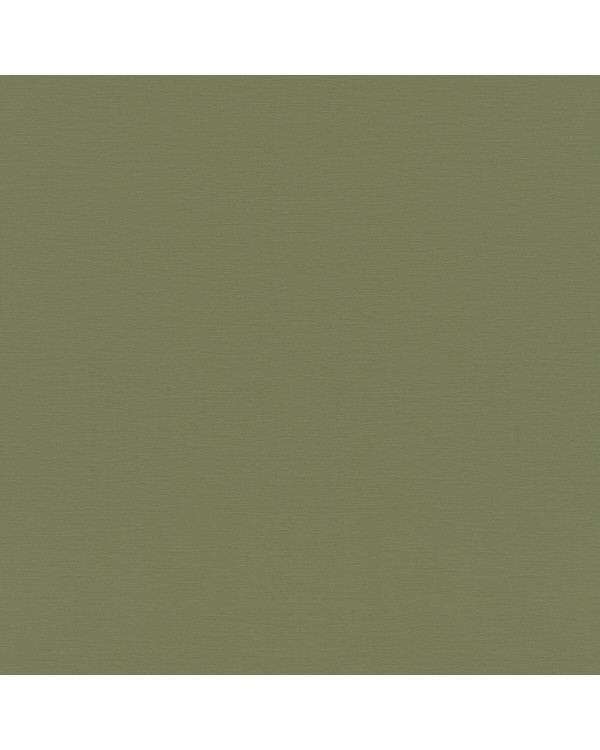687538 Обои Rasch (Allegretto) (1*12) 10,05x0,53 винил на флизелине