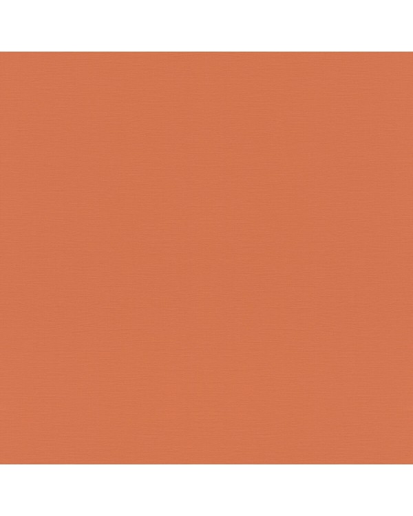 687569 Обои Rasch (Allegretto) (1*12) 10,05x0,53 винил на флизелине