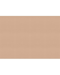 687576 Обои Rasch (Allegretto) (1*12) 10,05x0,53 винил на флизелине-foto2