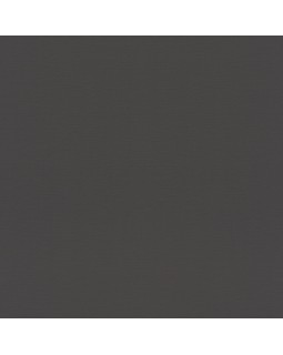 688023 Обои Rasch (Allegretto) (1*12) 10,05x0,53 винил на флизелине