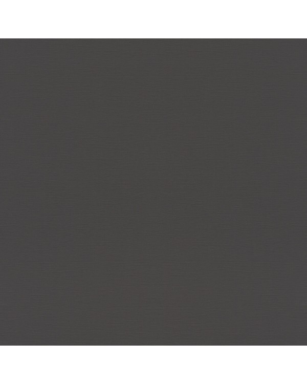 688023 Обои Rasch (Allegretto) (1*12) 10,05x0,53 винил на флизелине