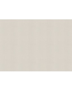 688047 Обои Rasch (Allegretto) (1*12) 10,05x0,53 винил на флизелине-foto2