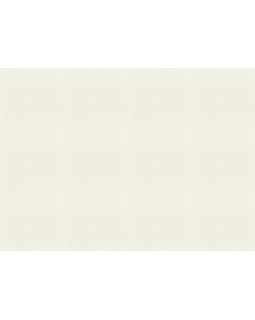 690705 Обои Rasch (Allegretto) (1*12) 10,05x0,53 винил на флизелине-foto2