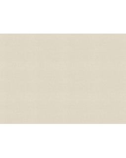 690712 Обои Rasch (Allegretto) (1*12) 10,05x0,53 винил на флизелине-foto2