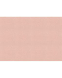 690736 Обои Rasch (Allegretto) (1*12) 10,05x0,53 винил на флизелине-foto2