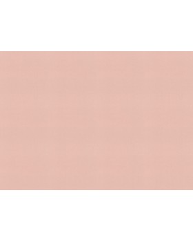 690736 Обои Rasch (Allegretto) (1*12) 10,05x0,53 винил на флизелине-foto2