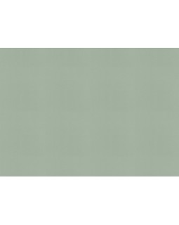 690743 Обои Rasch (Allegretto) (1*12) 10,05x0,53 винил на флизелине-foto2