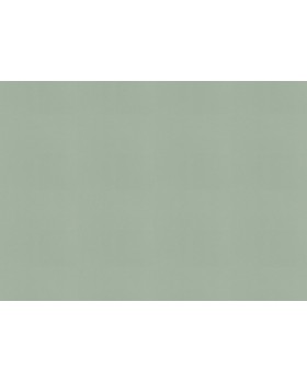 690743 Обои Rasch (Allegretto) (1*12) 10,05x0,53 винил на флизелине-foto2