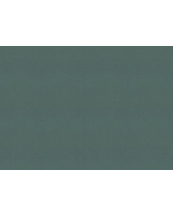 690750 Обои Rasch (Allegretto) (1*12) 10,05x0,53 винил на флизелине