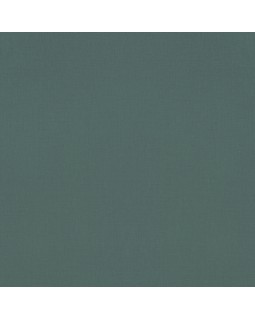 690750 Обои Rasch (Allegretto) (1*12) 10,05x0,53 винил на флизелине