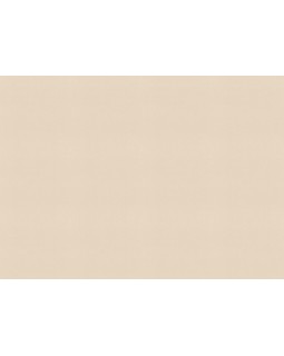 690767 Обои Rasch (Allegretto) (1*12) 10,05x0,53 винил на флизелине-foto2