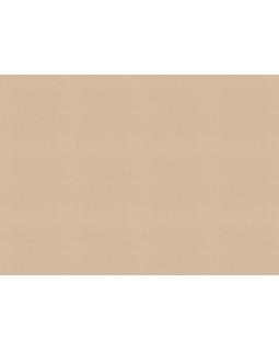 690774 Обои Rasch (Allegretto) (1*12) 10,05x0,53 винил на флизелине-foto2