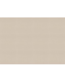 692716 Обои Rasch (Allegretto) (1*12) 10,05x0,53 винил на флизелине-foto2