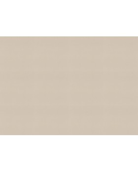 692716 Обои Rasch (Allegretto) (1*12) 10,05x0,53 винил на флизелине-foto2