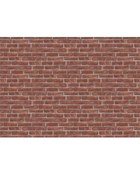 791440 Обои Rasch (Allegretto) (1*12) 10,05x0,53 винил на флизелине-foto2