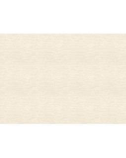 866452 Обои Rasch (Allegretto) (1*12) 10,05x0,53 винил на флизелине-foto2