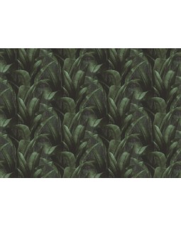 416237 Обои Rasch (Back to Nature) (1*12) 10,05x0,53 винил на флизелине-foto2