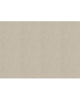 571035 Обои Rasch (Back to Nature) (1*12) 10,05x0,53 винил на флизелине-foto2