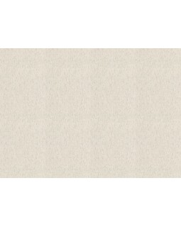 571042 Обои Rasch (Back to Nature) (1*12) 10,05x0,53 винил на флизелине-foto2