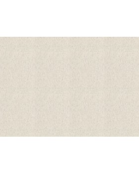 571042 Обои Rasch (Back to Nature) (1*12) 10,05x0,53 винил на флизелине-foto2