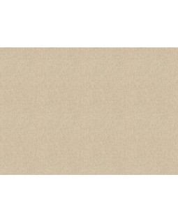 571066 Обои Rasch (Back to Nature) (1*12) 10,05x0,53 винил на флизелине-foto2