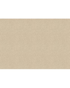 571066 Обои Rasch (Back to Nature) (1*12) 10,05x0,53 винил на флизелине-foto2