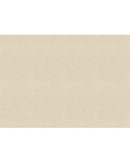 571073 Обои Rasch (Back to Nature) (1*12) 10,05x0,53 винил на флизелине-foto2